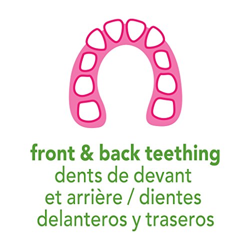 Zeleni klice muslin dekate teether napravljen od organskog pamuka | Umiri desni i promiče zdrav oralni razvoj | Desni za masažu više