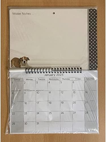 2023. kalendar za suho brisanje olovkom različitim dizajnom mačji pseći kolač voća tulipana