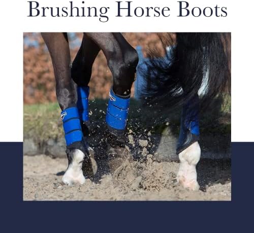 Lemieux četkanje konjskih čizama - zaštitna oprema i oprema za trening - čizme za kopitare, omoti i pribor