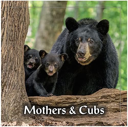 Majke i mladunci 2022 medvjedi kalendari