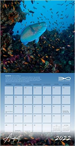 2022. Egzotični kalendar oceana Craig Dietrich
