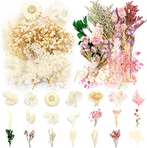 Vignee Pravo osušeno prešano lišće cvjetovi multiple šareno prešano cvijeće tratinčice za zanatsku smolu Nakit za izradu umjetničkih